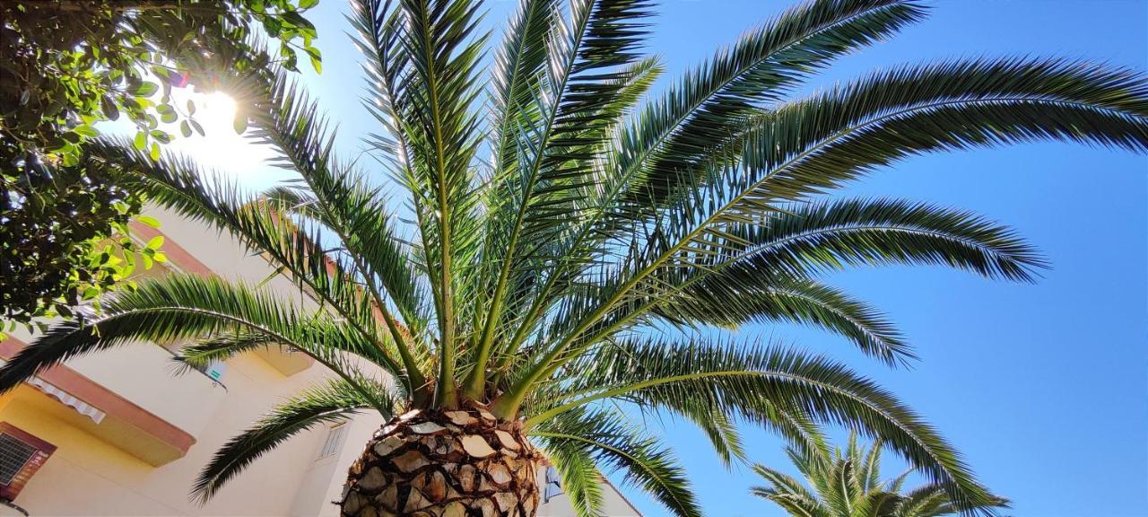 Apartamento La Marina By Denia Costa エクステリア 写真